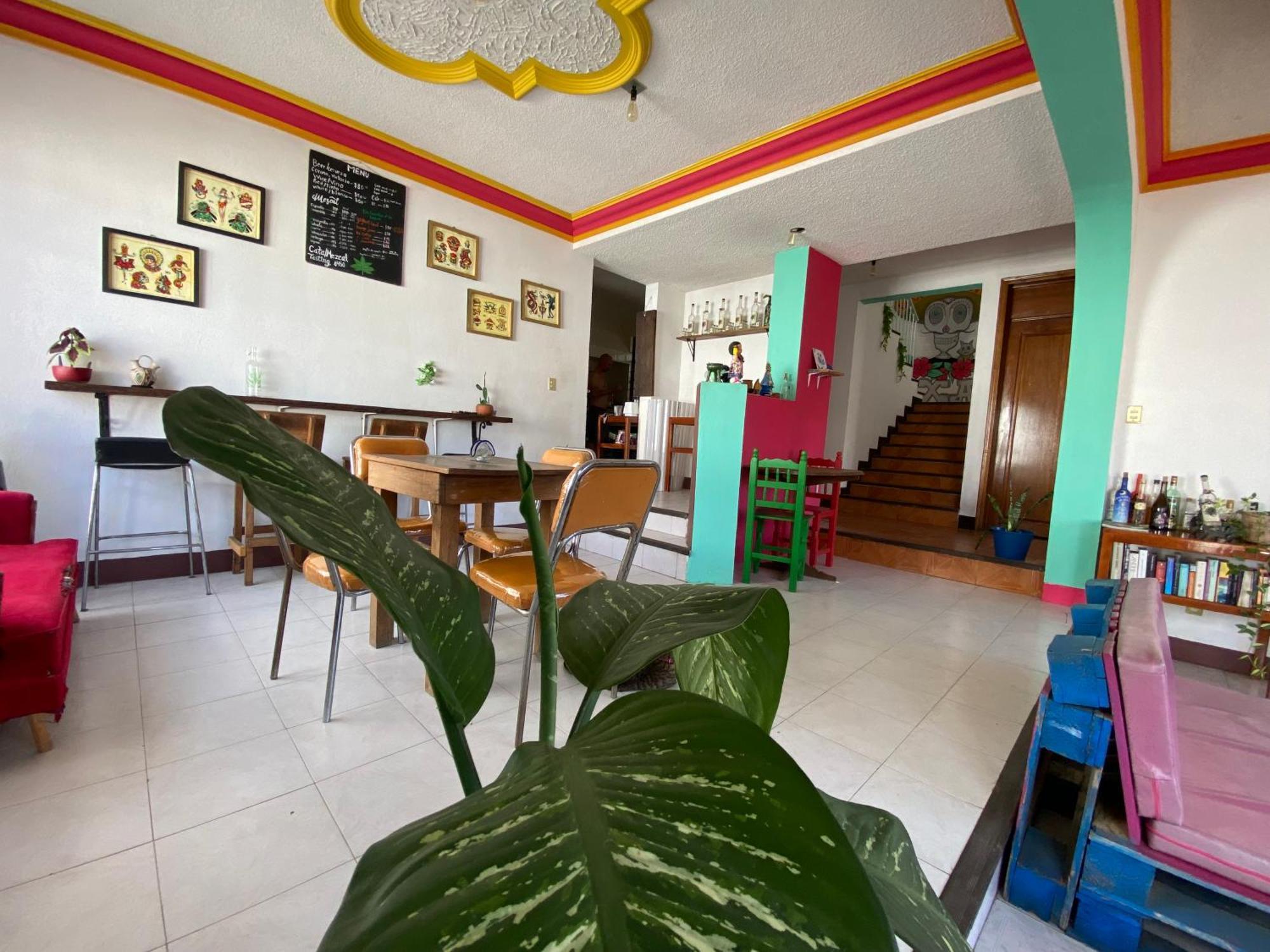 Hostel Casa El Mundo Oaxaca Zewnętrze zdjęcie